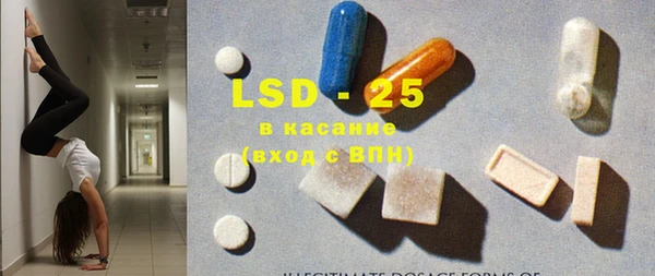 ГАЛЛЮЦИНОГЕННЫЕ ГРИБЫ Новозыбков