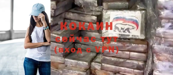 spice Алзамай