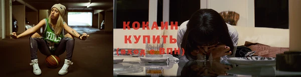 spice Алзамай