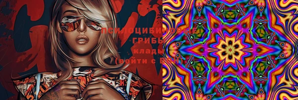 spice Алзамай
