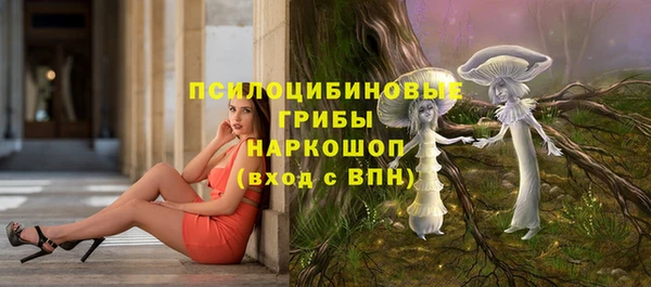 spice Алзамай