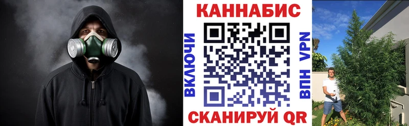 Конопля индика  Починок 